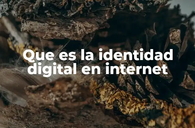 Que es la Identidad Digital en Internet