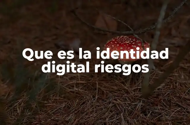 Que es la Identidad Digital Riesgos