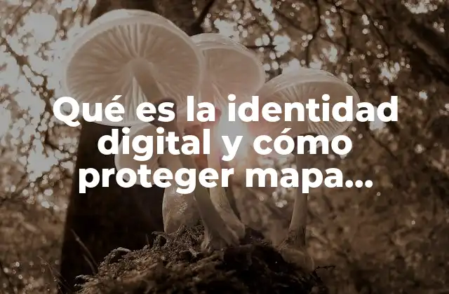 La presencia digital como reflejo de la identidad