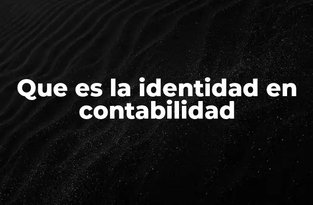 Que es la Identidad en Contabilidad
