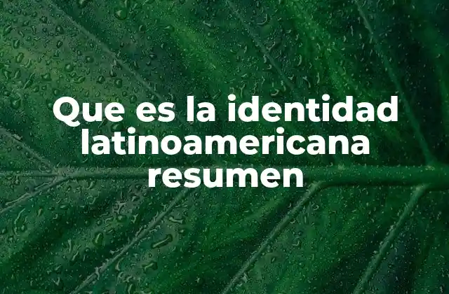 Que es la Identidad Latinoamericana Resumen