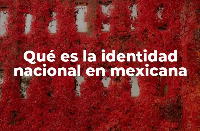 La formación de una identidad colectiva en México