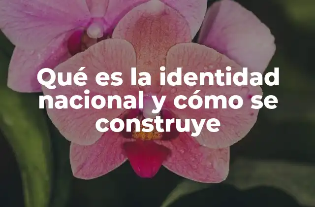 Qué es la Identidad Nacional y Cómo Se Construye