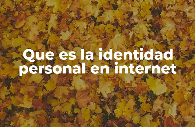 Que es la Identidad Personal en Internet