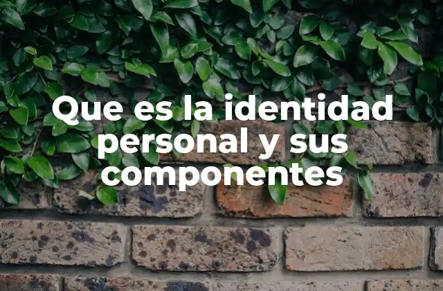 Que es la Identidad Personal y Sus Componentes