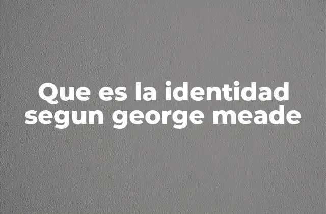 Que es la Identidad Segun George Meade
