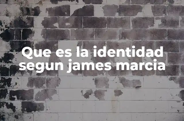 Que es la Identidad Segun James Marcia