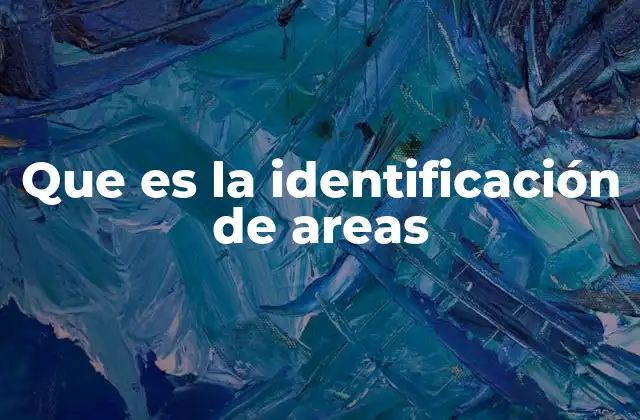 Que es la Identificación de Areas