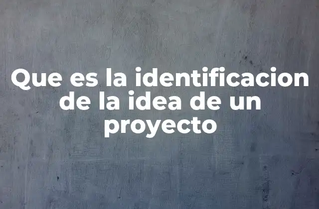 Que es la Identificacion de la Idea de un Proyecto