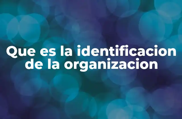 Que es la Identificacion de la Organizacion