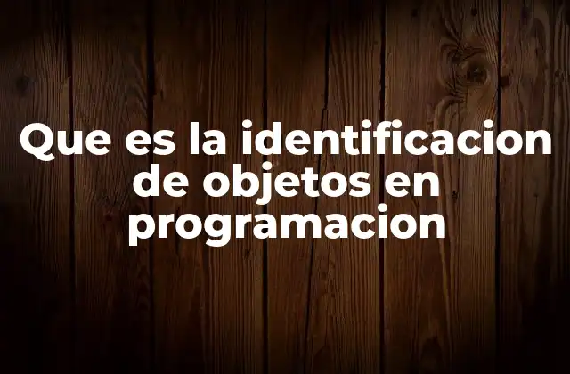 Que es la Identificacion de Objetos en Programacion
