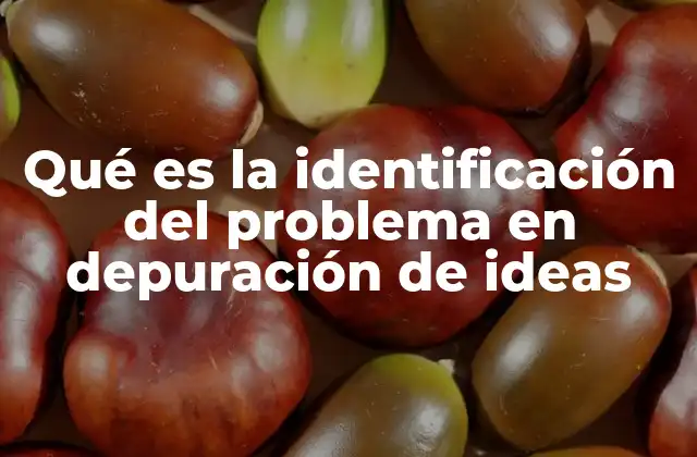 Qué es la Identificación Del Problema en Depuración de Ideas