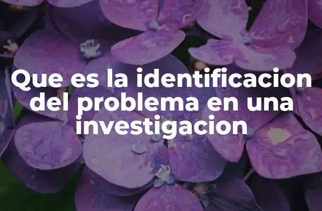 Que es la Identificacion Del Problema en una Investigacion