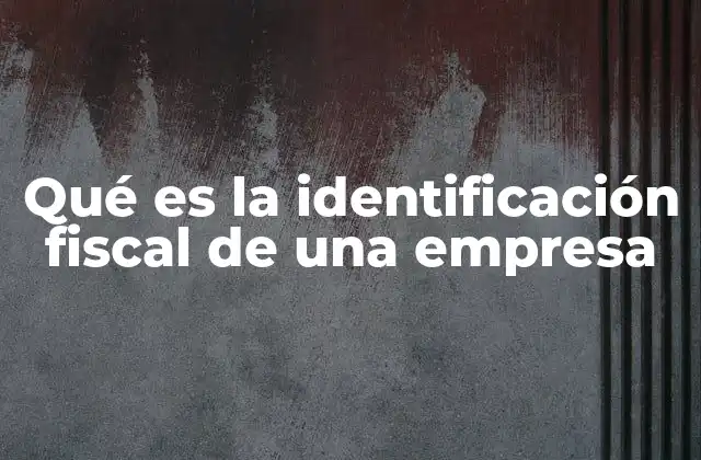 Qué es la Identificación Fiscal de una Empresa
