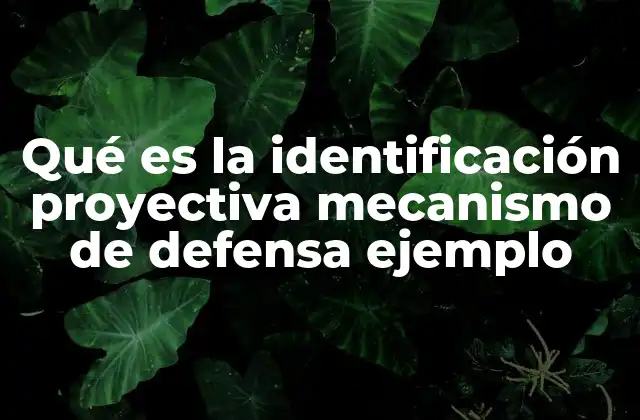 Qué es la Identificación Proyectiva Mecanismo de Defensa Ejemplo 2 Cómo se manifiesta la identificación proyectiva en las relaciones interpersonales