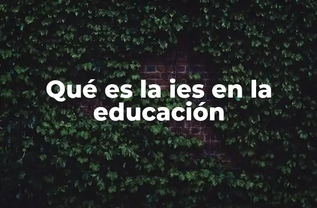 Qué es la Ies en la Educación
