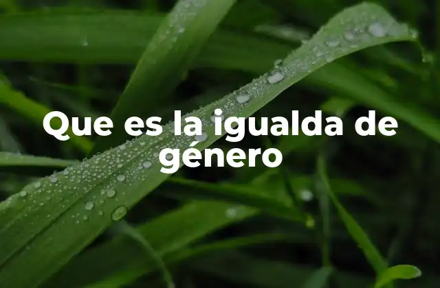 Que es la Igualda de Género