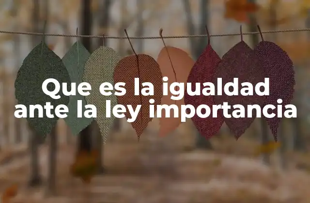 Que es la Igualdad ante la Ley Importancia