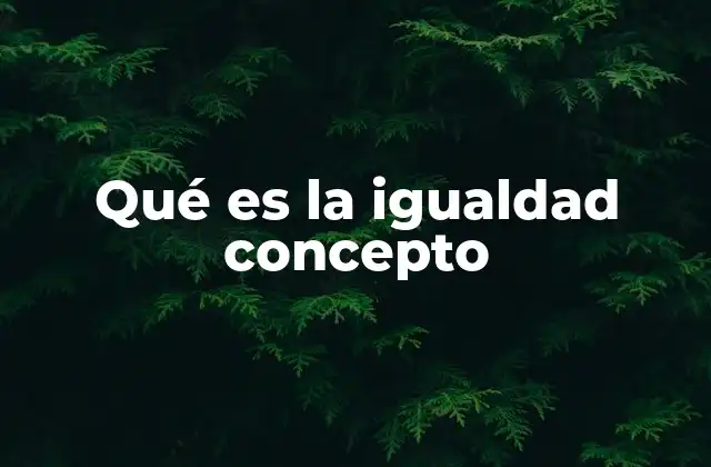 Qué es la Igualdad Concepto