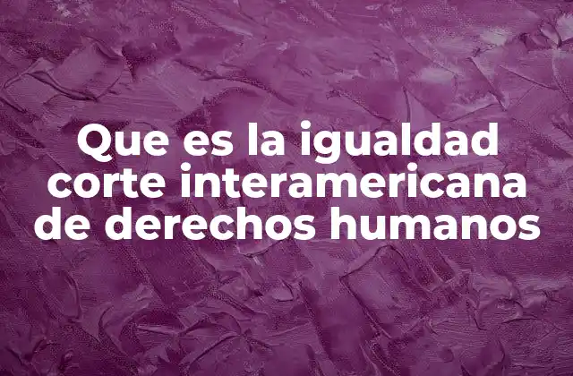 Que es la Igualdad Corte Interamericana de Derechos Humanos