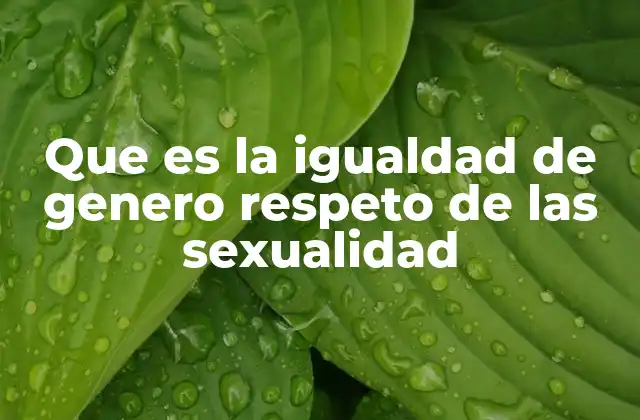 Que es la Igualdad de Genero Respeto de las Sexualidad