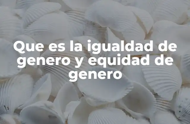 Que es la Igualdad de Genero y Equidad de Genero