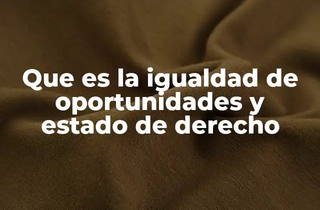 Que es la Igualdad de Oportunidades y Estado de Derecho