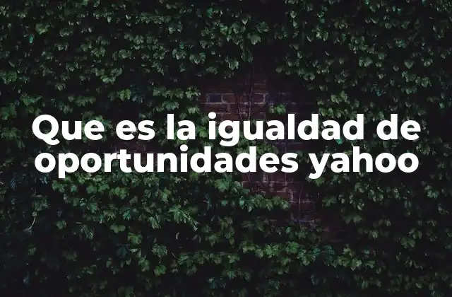 Que es la Igualdad de Oportunidades Yahoo 2 El papel de las plataformas digitales en la equidad social