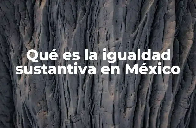 Qué es la Igualdad Sustantiva en México 2 La igualdad sustantiva como base para un desarrollo justo