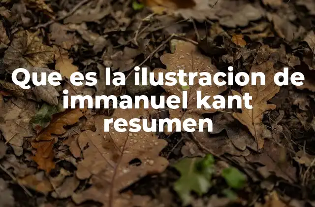 Que es la Ilustracion de Immanuel Kant Resumen