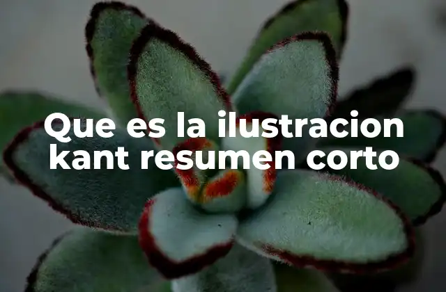 Que es la Ilustracion Kant Resumen Corto