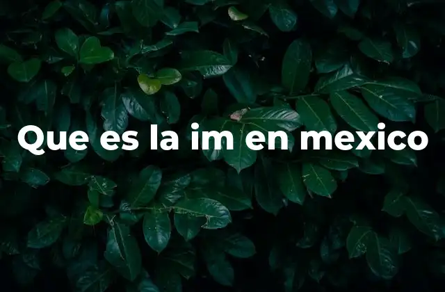 Que es la Im en Mexico