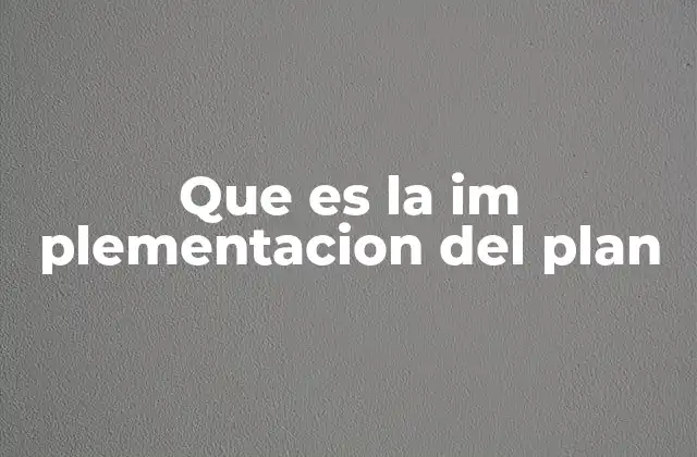 Que es la Im Plementacion Del Plan