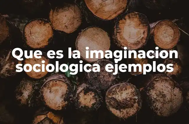 Que es la Imaginacion Sociologica Ejemplos