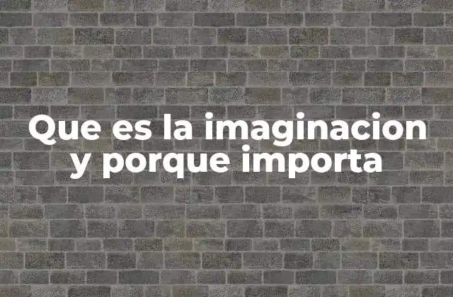 Que es la Imaginacion y Porque Importa