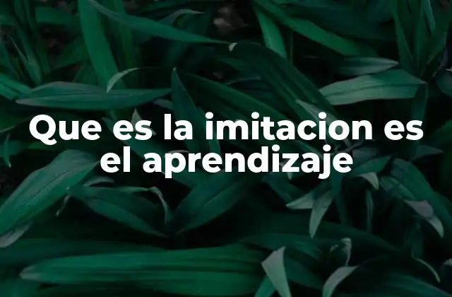 Que es la Imitacion es el Aprendizaje