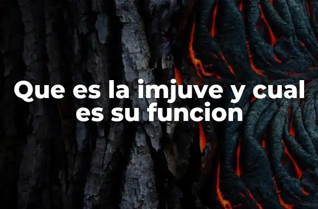 El rol de la IMJUV en la vida de los jóvenes mexicanos