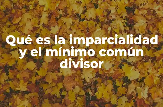 Qué es la Imparcialidad y el Mínimo Común Divisor