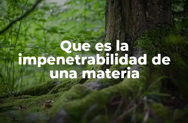 Que es la Impenetrabilidad de una Materia