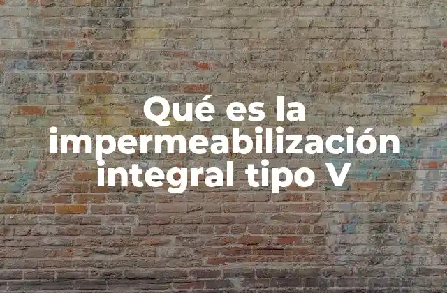 Qué es la Impermeabilización Integral Tipo V