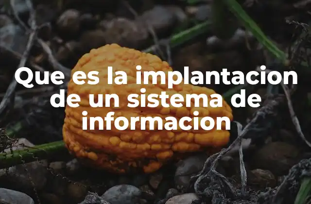 Que es la Implantacion de un Sistema de Informacion