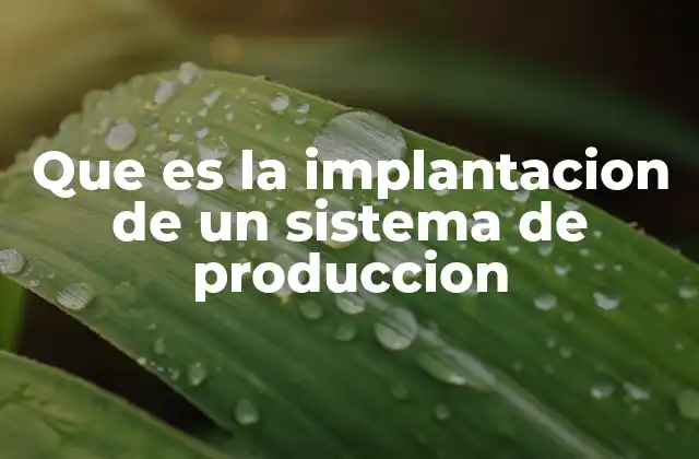 Que es la Implantacion de un Sistema de Produccion