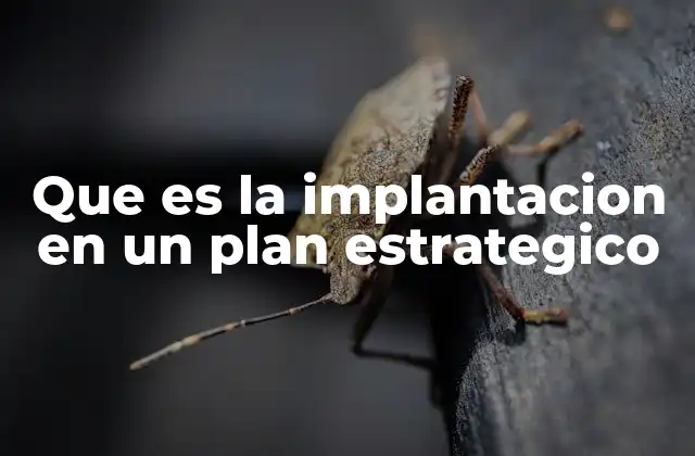 Que es la Implantacion en un Plan Estrategico