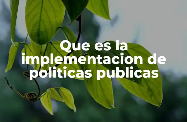 Que es la Implementacion de Politicas Publicas