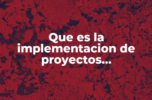 Que es la Implementacion de Proyectos Empresariales Graficos