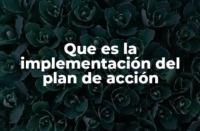 Que es la Implementación Del Plan de Acción