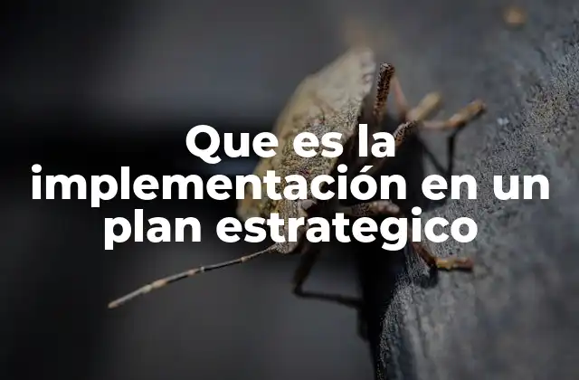 Que es la Implementación en un Plan Estrategico