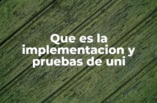 Que es la Implementacion y Pruebas de Uni