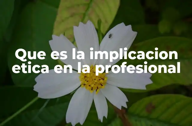 La responsabilidad del profesional en su entorno laboral