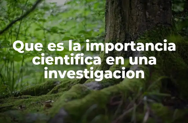 Que es la Importancia Cientifica en una Investigacion